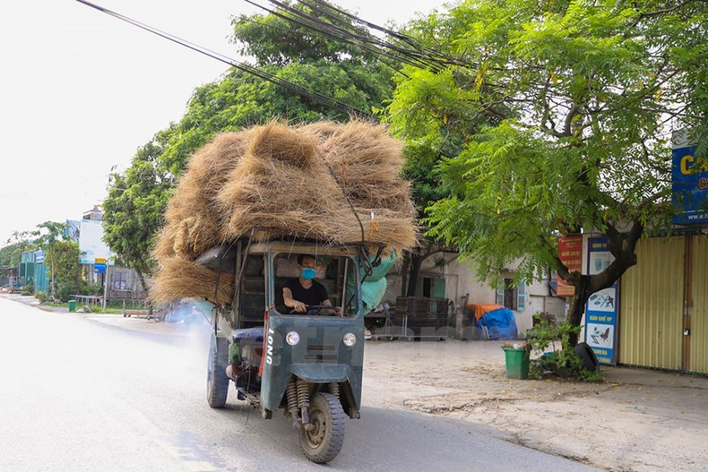 Las varillas de incienso de Quang Phu Cau no solo son preferidas por los clientes nacionales, sino también se exportan a muchos países. A pesar de muchos altibajos, el trabajo de hacer inciensos ha ayudado a que la vida de los pobladores locales mejore significativamente.
