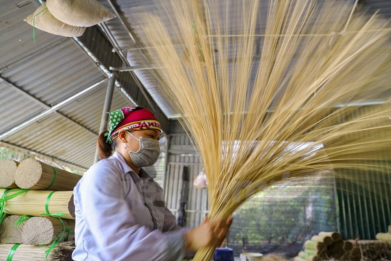 La aldea de Quang Phu Cau se hizo famosa por la producción de inciensos hace muchos siglos. Las varitas de inciensos secadas bajo el sol cubren todos los rincones de la localidad con un rojo radiante, mientras los residentes locales trabajan con diligencia. Muchas familias en la aldea han preservado el oficio durante más de cien años y están muy orgullosas de la profesión. Anteriormente, la elaboración de inciensos se consideraba como un trabajo extra de los campesinos durante el tiempo libre de las faenas agrícolas. Hoy día, se ha convertido en un oficio y genera puestos de trabajo para muchos locales. El ingreso mensual de un aldeano suele duplicarse en la época del año nuevo lunar.