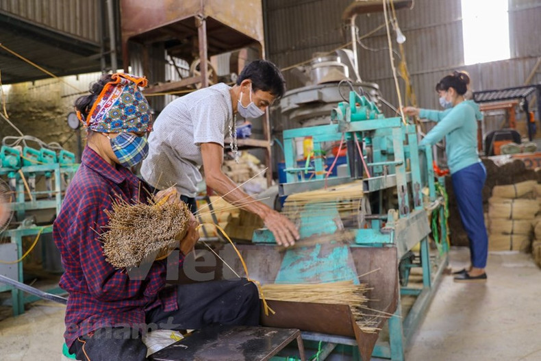 El pueblo de Quang Phu Cau es famoso por la producción de incienso. Antiguamente el incienso sólo lo utilizaban como ofrenda recordando sus antepasados o en ceremonias especiales. Con el tiempo, este producto se ha ido especializando con colores y olores diferentes, lo que ha supuesto un aumento muy importante de la producción y por lo tanto también un incremento de incremento de puestos de trabajo, de manera directa e indirecta. El año nuevo lunar es la época más frenética del año para los trabajadores de la industria artesanal en la aldea de Quang Phu Cau, donde las familias han estado haciendo incienso durante más de un siglo, una gran fuente de orgullo para muchos.
