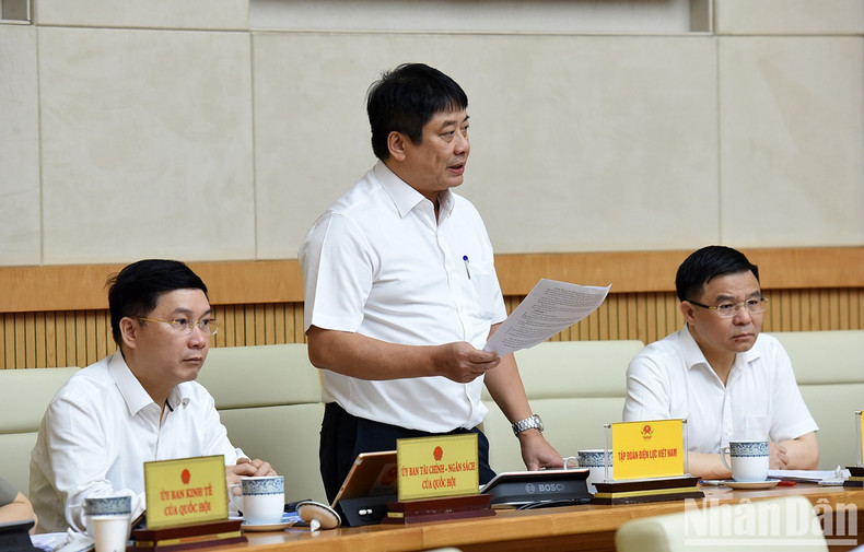 El director general del Grupo Nacional de Electricidad EVN Nguyen Anh Tuan presenta su informe.