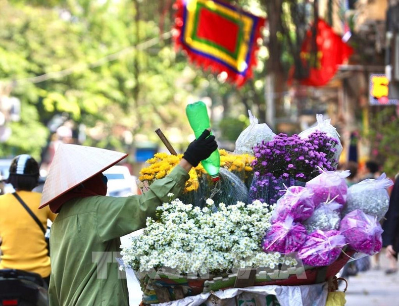 Diversas flores en las calles.