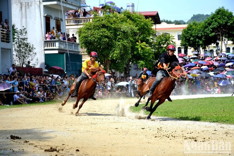 Se persiguen con fiereza.