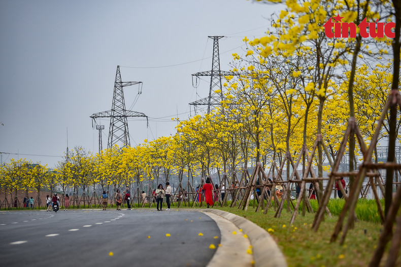 Los jóvenes disfrutan de las hermosas flores. Los jóvenes disfrutan de las hermosas flores.