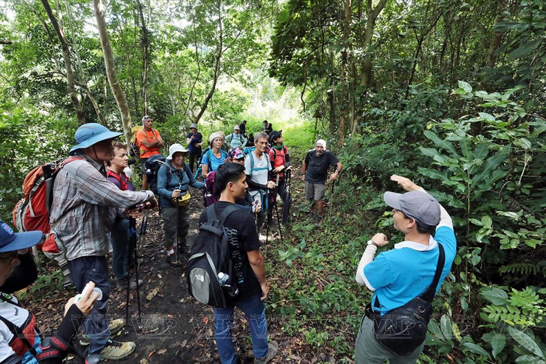 Turistas exploran rutas de senderismo en el Parque Nacional Cat Ba. Turistas exploran rutas de senderismo en el Parque Nacional Cat Ba.