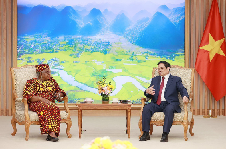 El primer ministro vietnamita, Pham Minh Chinh, y la directora general de la Organización Mundial del Comercio (OMC), Ngozi Okonjo-Iweala. (Fotografía: VNA) El primer ministro vietnamita, Pham Minh Chinh, y la directora general de la Organización Mundial del Comercio (OMC), Ngozi Okonjo-Iweala. (Fotografía: VNA)