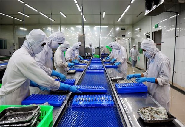 La exportación de productos acuáticos vietnamitas en 2022 superó el 22,2 por ciento del plan establecido,al alcanzar los 11 mil millones de dólares. (Fotografía: VNA) La exportación de productos acuáticos vietnamitas en 2022 superó el 22,2 por ciento del plan establecido,al alcanzar los 11 mil millones de dólares. (Fotografía: VNA)