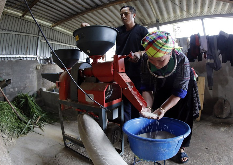 Luego de recibir un préstamo preferencial, la familia pobre de la pareja Mua Thi Say y Thao A Pang, en la aldea de Nam Khat, en la comuna homónima, en el distrito de Mu Cang Chai, de la provincia norteña de Yen Bai, ha podido mejorar sus recursos económicos. Luego de recibir un préstamo preferencial, la familia pobre de la pareja Mua Thi Say y Thao A Pang, en la aldea de Nam Khat, en la comuna homónima, en el distrito de Mu Cang Chai, de la provincia norteña de Yen Bai, ha podido mejorar sus recursos económicos.