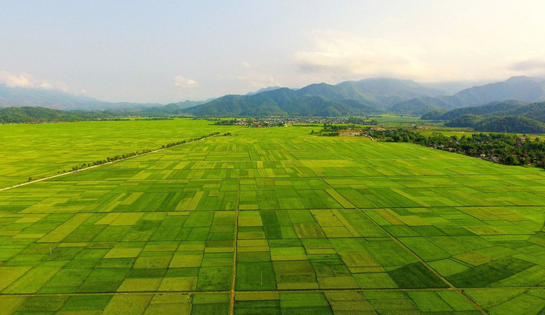 El campo Muong Thanh. (Foto: Servicio de Cultura, Deporte y Turismo de Dien Bien) El campo Muong Thanh. (Foto: Servicio de Cultura, Deporte y Turismo de Dien Bien)
