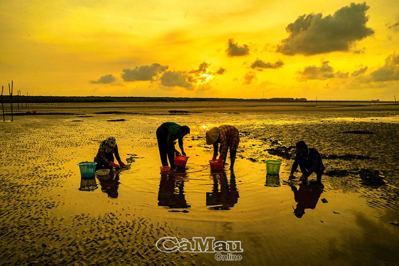 Amanecer en la Torre de la Bandera en el cabo. Amanecer en la Torre de la Bandera en el cabo.