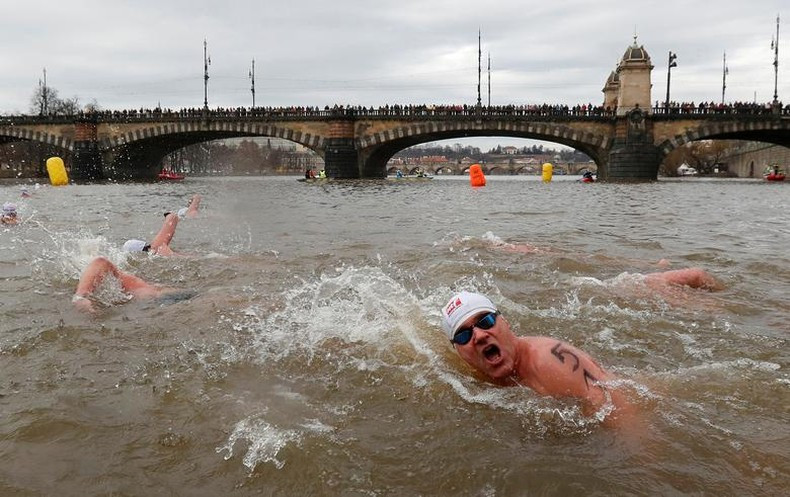 Los competidores en el torneo anual de natación navideña en el río Vltava en Praga (República Checa). Los competidores en el torneo anual de natación navideña en el río Vltava en Praga (República Checa).