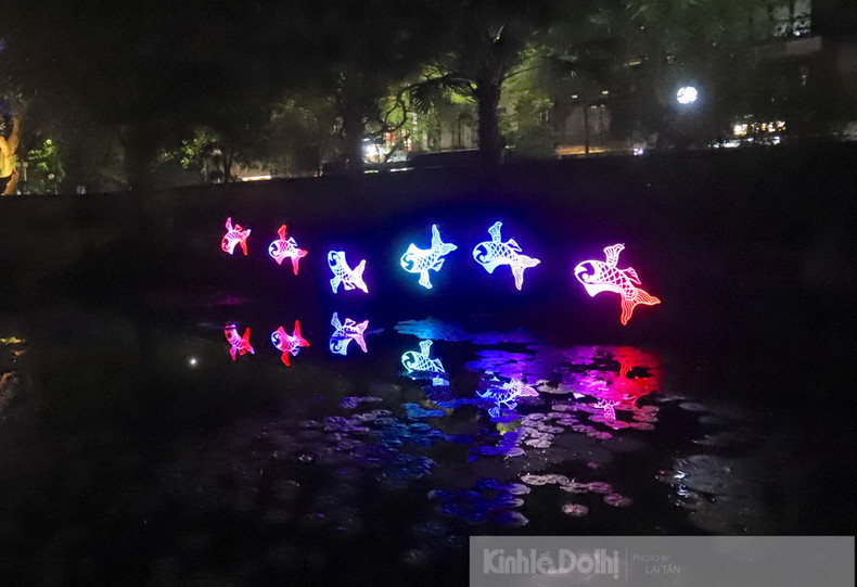 Imagen de un banco de peces en la zona Thanh Dat.