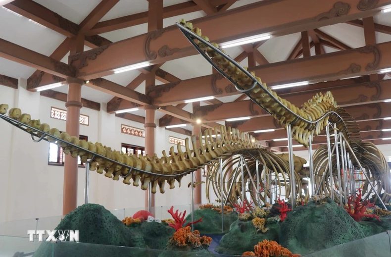 Los dos esqueletos datan de hace de más 200 años. Los dos esqueletos datan de hace de más 200 años.