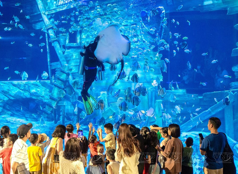 Muchas familias eligen el acuario como lugar para divertirse los fines de semana.