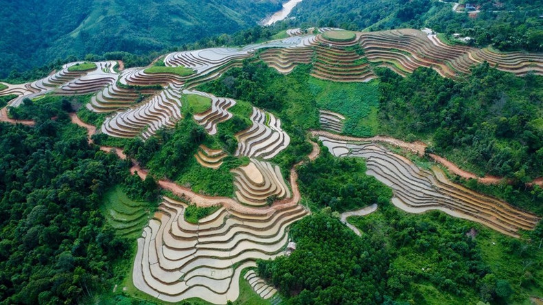 Las terrazas de arroz están llenas de agua como espejos que reflejan la tierra y el cielo. Las terrazas de arroz están llenas de agua como espejos que reflejan la tierra y el cielo.