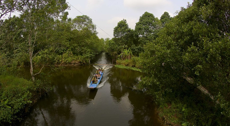 La reserva natural de Lung Ngoc Hoang muestra una belleza virgen.