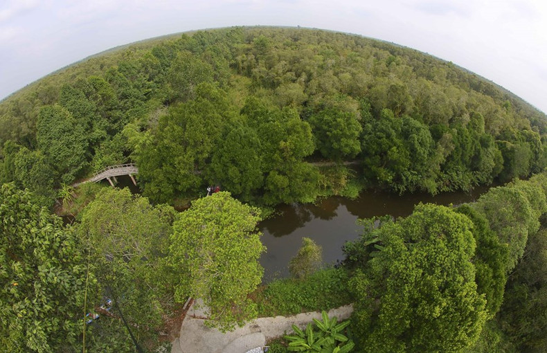 La reserva natural de Lung Ngoc Hoang ostenta una belleza virgen. La reserva natural de Lung Ngoc Hoang ostenta una belleza virgen.