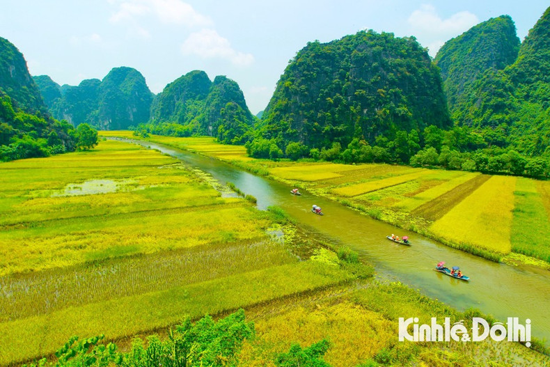 La zona turística de Tam Coc-Trang An acoge un considerable número de visitantes durante esta temporada.
