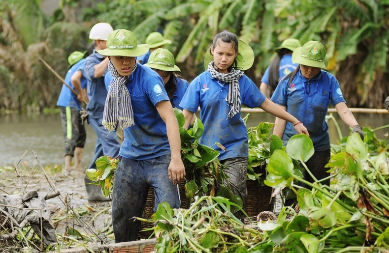 Jóvenes y estudiantes voluntarios participan en la tarea de recolectar jacintos de agua para facilitar la circulación del flujo hídrico en el canal Ong Tong, distrito de Go Vap, Ciudad Ho Chi Minh. Jóvenes y estudiantes voluntarios participan en la tarea de recolectar jacintos de agua para facilitar la circulación del flujo hídrico en el canal Ong Tong, distrito de Go Vap, Ciudad Ho Chi Minh.