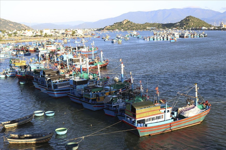 Barcos operados por pescadores de Ninh Thuan explotan productos acuáticos. Barcos operados por pescadores de Ninh Thuan explotan productos acuáticos.
