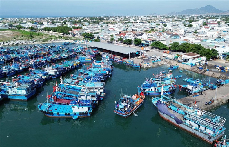 La comuna de Thanh Hai, distrito de Ninh Hai, invierte de forma sincrónica en el puerto pesquero de My Tan, para cumplir con los requisitos de desarrollo económico marino local. La comuna de Thanh Hai, distrito de Ninh Hai, invierte de forma sincrónica en el puerto pesquero de My Tan, para cumplir con los requisitos de desarrollo económico marino local.