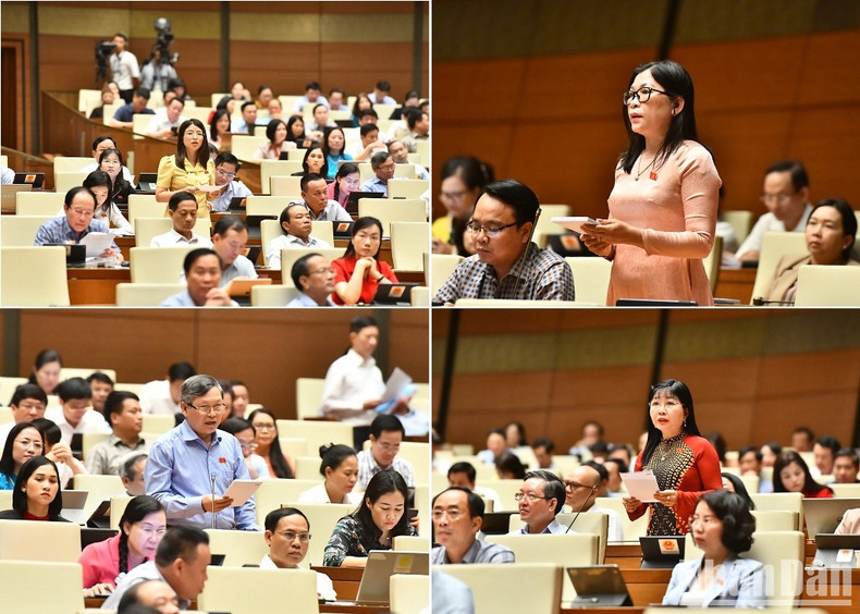 [Foto] Comenzan sesiones de interpelaciones de la Asamblea Nacional de Vietnam ảnh 10