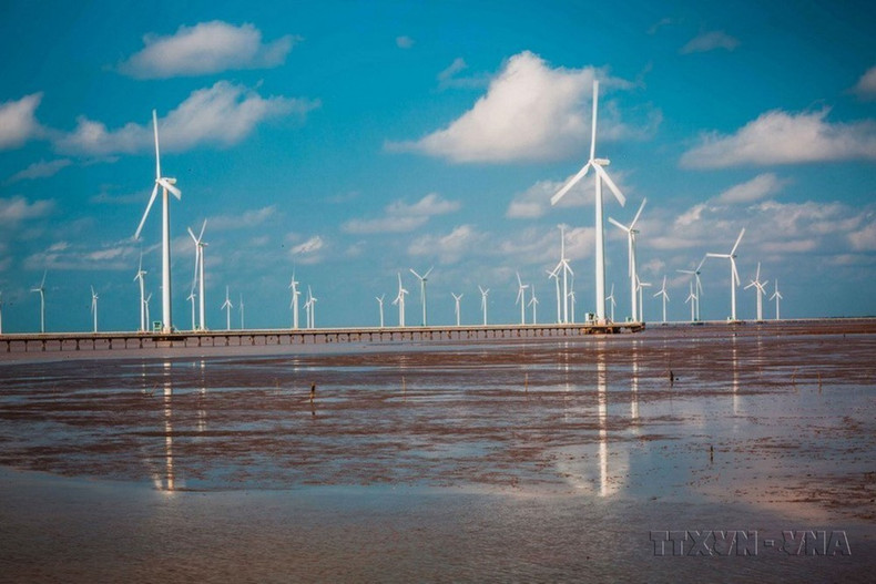 Un campo de energía eólica en el Delta del Mekong. (Fotografía: VNA)