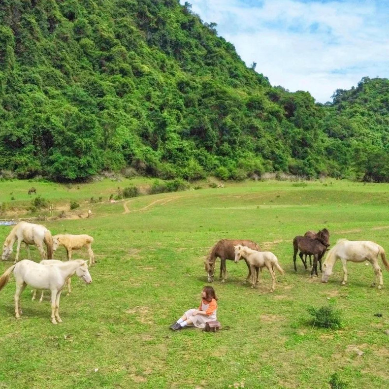 El salvaje paisaje enamora a los turistas.