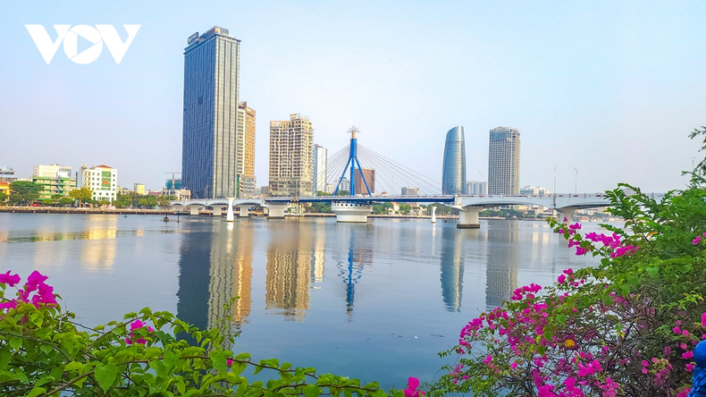 Gracias a las técnicas de cuidado de los árboles, en algunas calles de Da Nang las flores de buganvilla florecen durante todo el año. Gracias a las técnicas de cuidado de los árboles, en algunas calles de Da Nang las flores de buganvilla florecen durante todo el año.