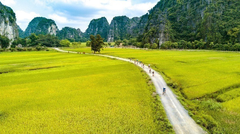 Los turistas experimentan este sitio en bicicleta mientras observan cómo maduran los campos de arroz. Los turistas experimentan este sitio en bicicleta mientras observan cómo maduran los campos de arroz.