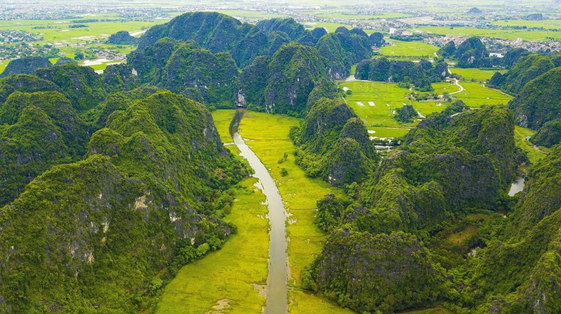 Los campos de arroz dorados a lo largo del río Ngo Dong, en la zona turística de Tam Coc-Bich Dong, de la provincia de Ninh Binh. Los campos de arroz dorados a lo largo del río Ngo Dong, en la zona turística de Tam Coc-Bich Dong, de la provincia de Ninh Binh.