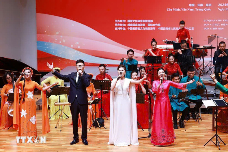 Actuación artística en el evento. (Foto: VNA)