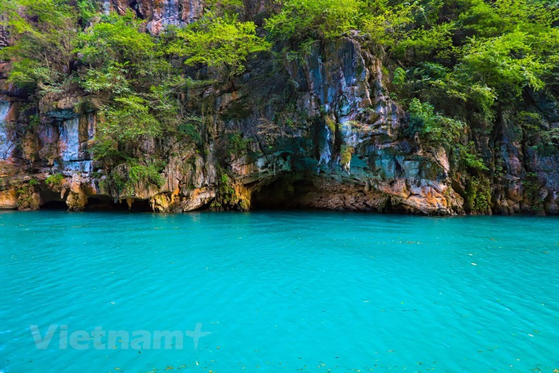 El río Nho Que tiene color verde esmeralda casi todo el año (Fuente: Vietnam+) El río Nho Que tiene color verde esmeralda casi todo el año (Fuente: Vietnam+)