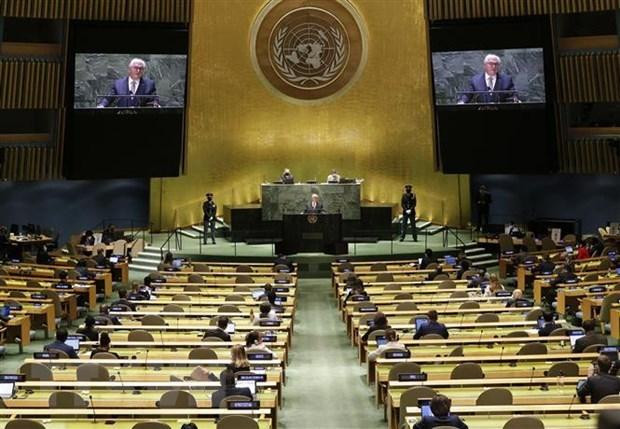 Panorama de votación de ONU. (Fotografía: AFP/VNA) Panorama de votación de ONU. (Fotografía: AFP/VNA)