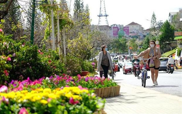 Foto de ilustración. (Fotografía: VNA) Foto de ilustración. (Fotografía: VNA)