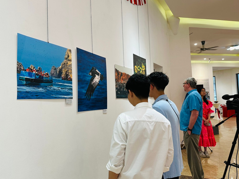La exposición atrae a muchos jóvenes. La exposición atrae a muchos jóvenes.