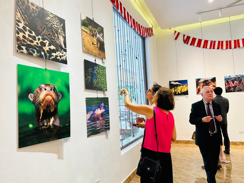 Visitantes a la exposición. Visitantes a la exposición.