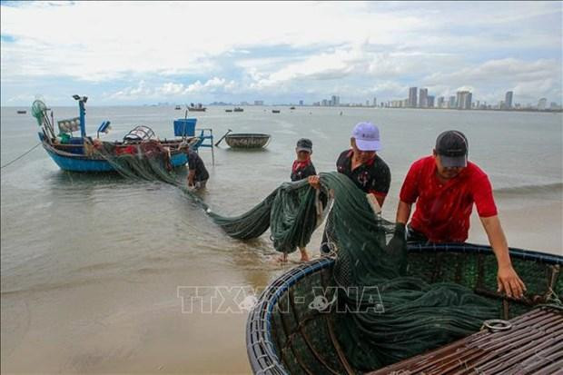 Los pescadores en la ciudad central de Da Nang guardan sus artes de pesca. (FotografíaFoto: VNA) Los pescadores en la ciudad central de Da Nang guardan sus artes de pesca. (FotografíaFoto: VNA)