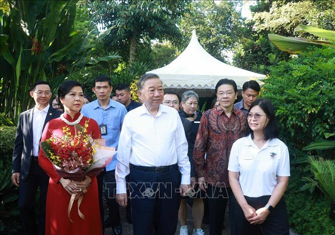 El secretario general del PCV, To Lam, y su esposa, Ngo Phuong Ly, y el primer ministro singapurense, Lawrence Wong, recorren el Jardín Botánico de Singapur. (Foto: VNA)