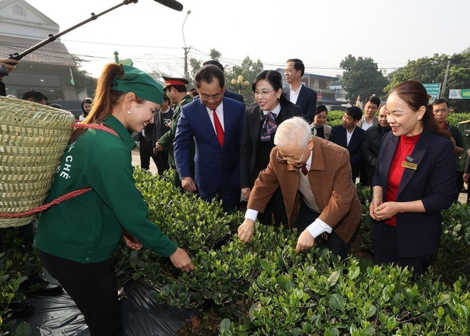 El secretario general del Partido Comunista de Vietnam, Nguyen Phu Trong, visita el jardín de té de la cooperativa Hao Dat, en la ciudad de Thai Nguyen (10 de enero de 2023). (Foto: Tri Dung-VNA) El secretario general del Partido Comunista de Vietnam, Nguyen Phu Trong, visita el jardín de té de la cooperativa Hao Dat, en la ciudad de Thai Nguyen (10 de enero de 2023). (Foto: Tri Dung-VNA)