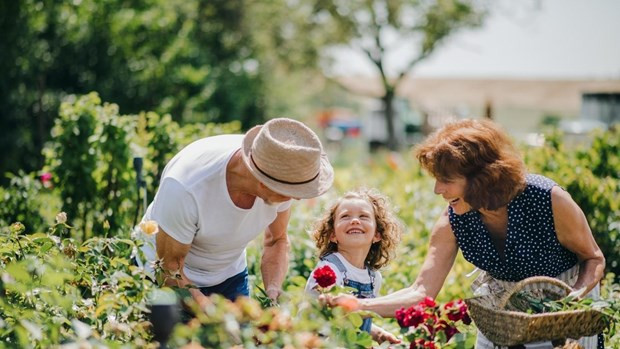 Foto ilustrativa. (Foto: nongnghiep.vn)