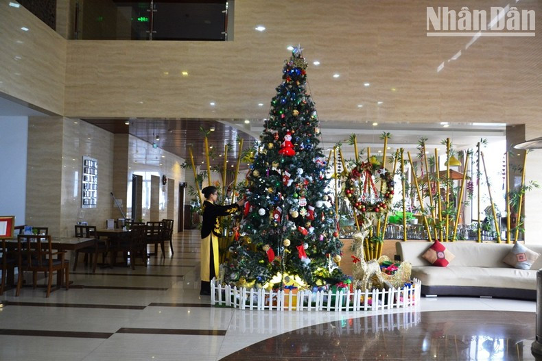 El árbol de Navidad en el hotel Amazing-Sa Pa. El árbol de Navidad en el hotel Amazing-Sa Pa.