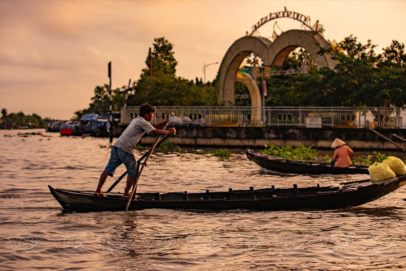 Imágenes de botes con remos son habituales en el mercado flotante, aunque en la actualidad, la gente utiliza mucho las lanchas motoras. (Foto: VNA) Imágenes de botes con remos son habituales en el mercado flotante, aunque en la actualidad, la gente utiliza mucho las lanchas motoras. (Foto: VNA)