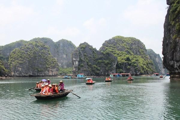 Quang Ninh desarrolla la acuicultura en el mar asociada con el ecoturismo. (Fotografía: VNA) Quang Ninh desarrolla la acuicultura en el mar asociada con el ecoturismo. (Fotografía: VNA)