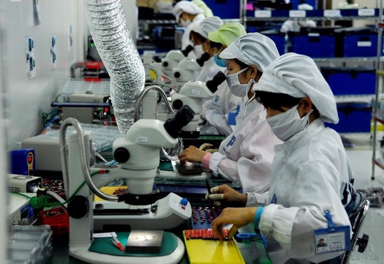 Como gran fuerza laboral social, las mujeres vietnamitas han demostrado claramente su papel, capacidad y creatividad en todas las áreas de la vida social. (Fuente: VNA) Como gran fuerza laboral social, las mujeres vietnamitas han demostrado claramente su papel, capacidad y creatividad en todas las áreas de la vida social. (Fuente: VNA)