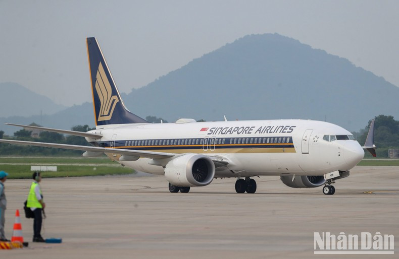 [Foto] Premier de Singapur llega a Hanói para iniciar su visita oficial a Vietnam ảnh 1