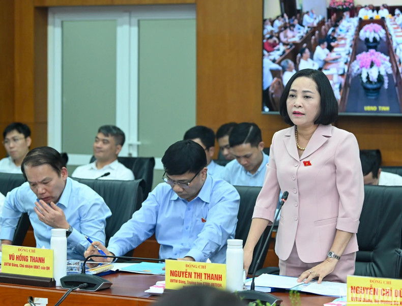 La jefa de la Comisión de Asuntos de Diputados del Comité Permanente de la AN, Nguyen Thi Thanh.