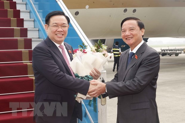 El vicepresidente de la AN, Nguyen Khac Dinh, recibe a Dinh Hue en el Aeropuerto Internacional de Noi Bai. (Foto: Doan Tan/VNA)