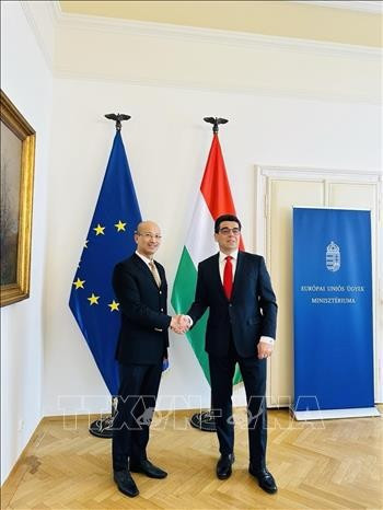El Embajador de Vietnam en Hungría, Bui Le Thai, y el viceministro y secretario de Estado de Asuntos Parlamentarios del Ministerio de Asuntos de la Unión Europea, Barna Pal Zsigmond. (Foto: VNA)