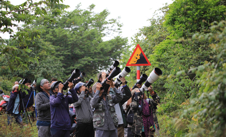 La belleza combinada de la flor y el raro primate seduce a los amantes de la fotografía, lugareños y turistas.