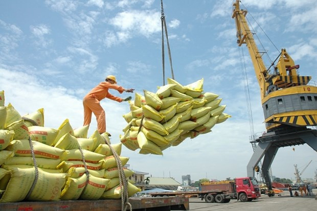 Las ventas al exterior del arroz de Vietnam superó los siete millones de toneladas en 2022. (Foto: VNA) Las ventas al exterior del arroz de Vietnam superó los siete millones de toneladas en 2022. (Foto: VNA)